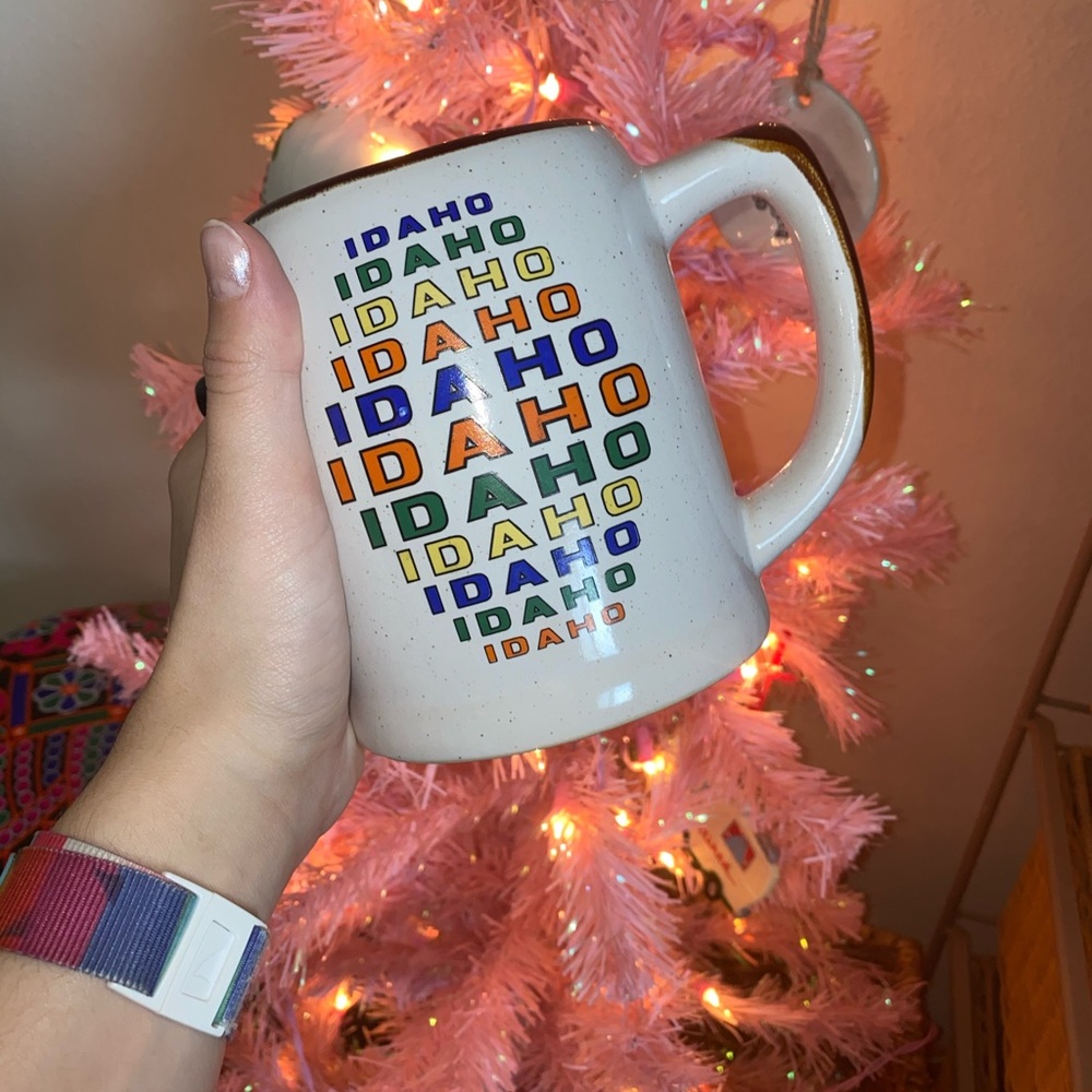 Giant vintage multicolor Idaho souvenir mug